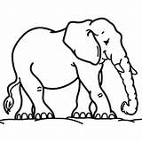 Elephant Mother Coloring Netart sketch template