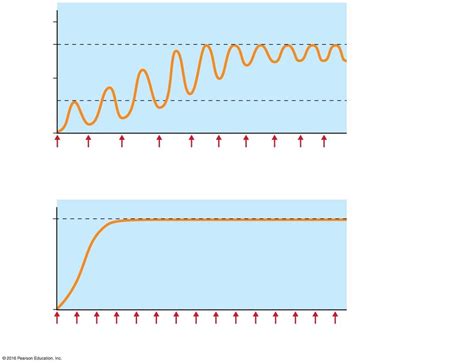 wave summation unfused  fused tetanus diagram quizlet