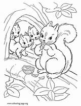 Coloring Squirrel Pages Squirrels Mommy Her Print Cubs Colouring Babies Sheet Printable Animal Cute Color Animals Nuts Baby Family Beautiful sketch template