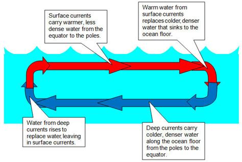 surface currents oceanography  abouts