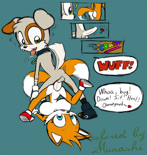 tailsko female tails furries pictures pictures tag sonic the hedgehog sorted by