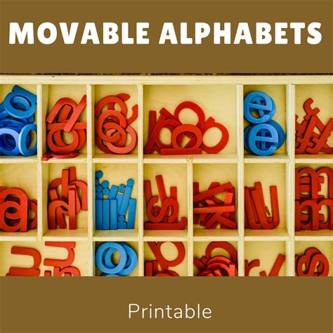 moveable alphabet printable wisdomnest