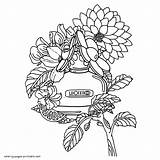 Coloring Pages Perfume Adults Flowers Flower Print Printable Look Other sketch template
