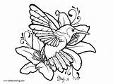 Hummingbird Pages Drawing Coloirng Printable Coloring Kids Print Color sketch template