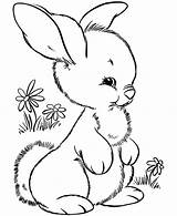 Bunny Sitting Coloring Cute Pages Hopping After Color sketch template
