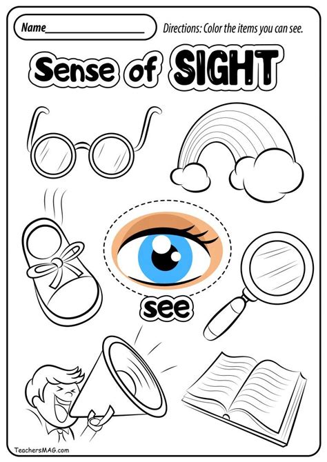 preschool printable  senses worksheets