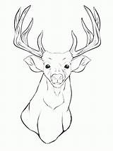 Deer Coloring Hunting Elk Getcolorings sketch template