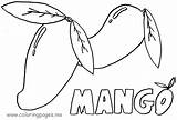 Mango Coloring Tree Pages Colorear Para Colouring Printable Nombre Fruit Con Frutas Clipart Drawing Getdrawings Color Fruits Library Glue Getcolorings sketch template