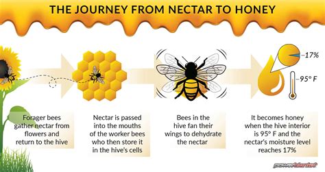 How To Decrystallize Honey Powerblanket