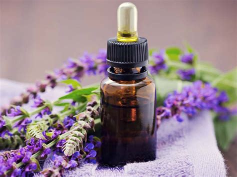 amazing   essential oils hair skin weight loss  health