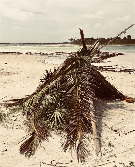 sian kaan biosphere reserve yucatan peninsula yucatan tulum