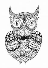 Zentangle Coloring Owl Pages Kids Color Adults Print Rachel Printable Adult sketch template