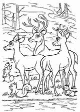 Biche Cerf Bambi Cerfs Bamby Troupeau Colorier Coloriages Colorir Disegni Hellokids Veados 1099 Noel Buzz2000 Colorare Crtež Dva Bojanke Bambini sketch template