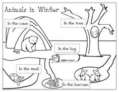 animal worksheet   worksheets animals  winter