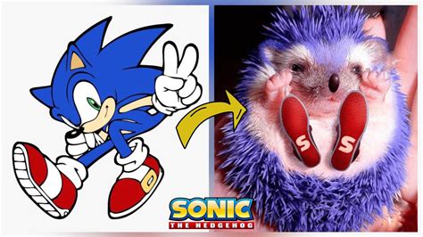 sonic  hedgehog  characters  real life youtube