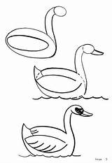 Dibujar Zeichnen Schwan Aprende Kinder Animais Duck Tiere Cisne Angsa Kindern Gans Desenhar X13 Anfanger Motivar Resultan Interesantes Schritt Clipart sketch template