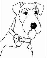 Terrier Welsh Coloring Dog Airedale Fox Terriers Wire Face Patty Eisenbraun Artist Quilts Colouring Airedales Visit Template Choose Border sketch template