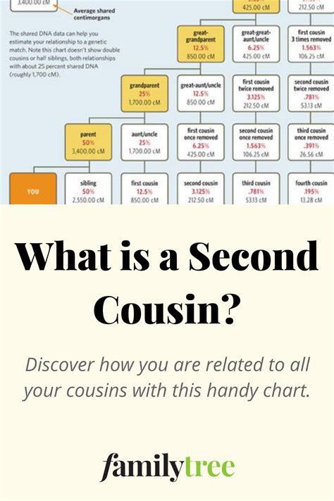 What Is The Definition Of Second Cousin Definitionva
