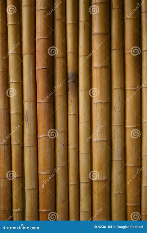 japanese bamboo background stock photo image  natural
