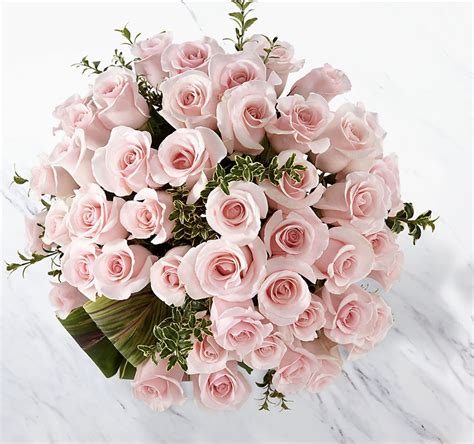 delighted luxury rose bouquet  premium long stemmed roses