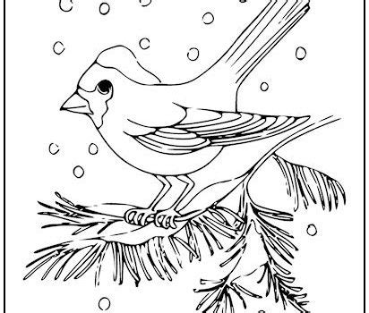 tag bird coloring page print