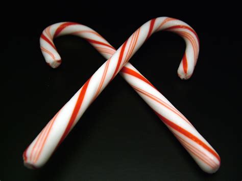 candy cane   photo  freeimages