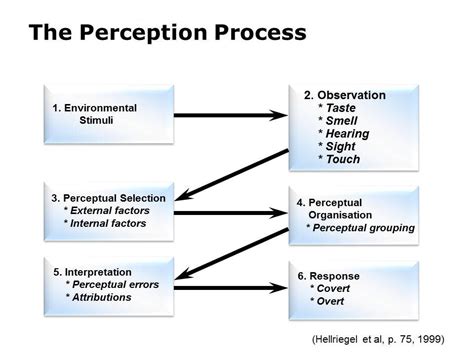 acts  leadership  perception process