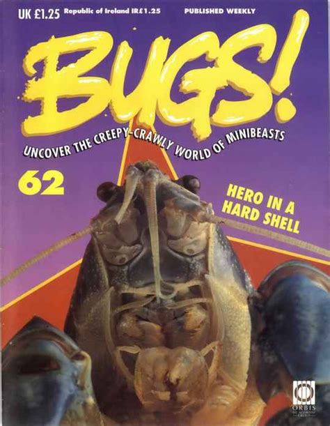 bugs issue  page  bugs minibeasts bugs animals
