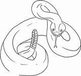 Rattlesnake Coloringtop sketch template