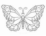 Polygonaler Farfalla Tatuaggio Poligonale Monarca Schmetterling Abbildung sketch template