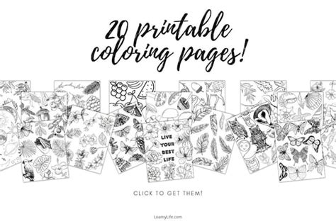 printable coloring pages colouring  digital  etsy