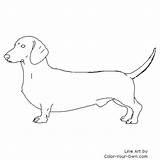 Dog Coloring Dachshund Pages Color Own Drawing Printable Colouring Dachshunds Värityskuvia Koirat Cricut Väritystehtäviä Weenie Dogs Visit Additions Newest Tweet sketch template