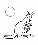 Cangur Kangur Colorat Kangaroo Dzieci Dla Kolorowanki Desene Planse Cangurul Animale Salbatice Canguri Imagini Wydruku Imaginea sketch template