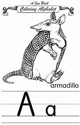 Armadillo Coloring Janbrett Alphabet Traditional Click Subscription Downloads sketch template