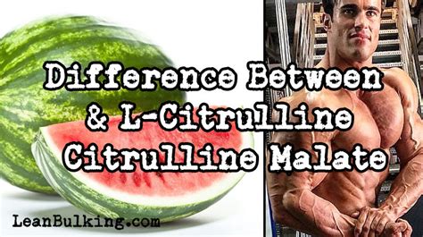 difference between l citrulline and citrulline malate which is better