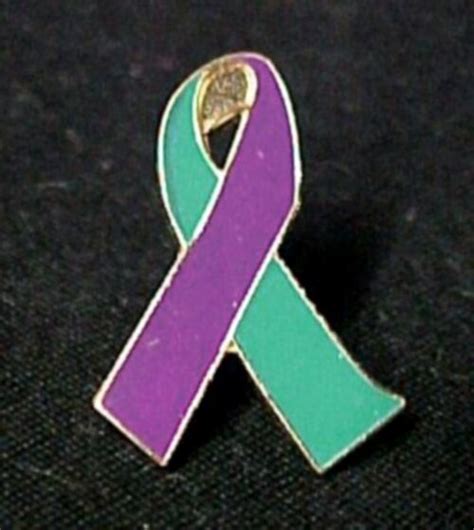 New Teal And Purple Awareness Ribbon Pin Lapel Domestic Violence And Sexual