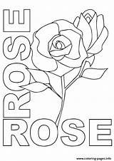 Coloring Rosas Rose Pages A4 Printable Parentune sketch template