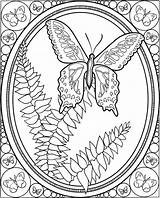 Coloring Pages Butterfly Dover Doverpublications Books Printable Butterflies Publications Welcome Adult Color sketch template