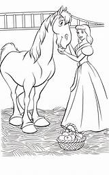 Cinderella Caballo Kolorowanki Pintar Kopciuszek Caballos Cavalo Cenicienta Prince Cavalos Cavallo Mele Cinderela Pferd Junge Seinem Pobrania sketch template