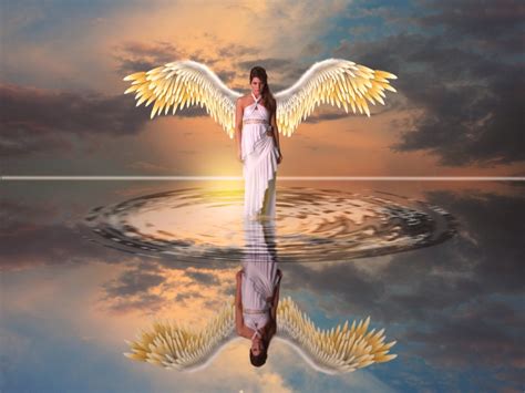 water wings reflection manipulation fantasy angel  ultra hd