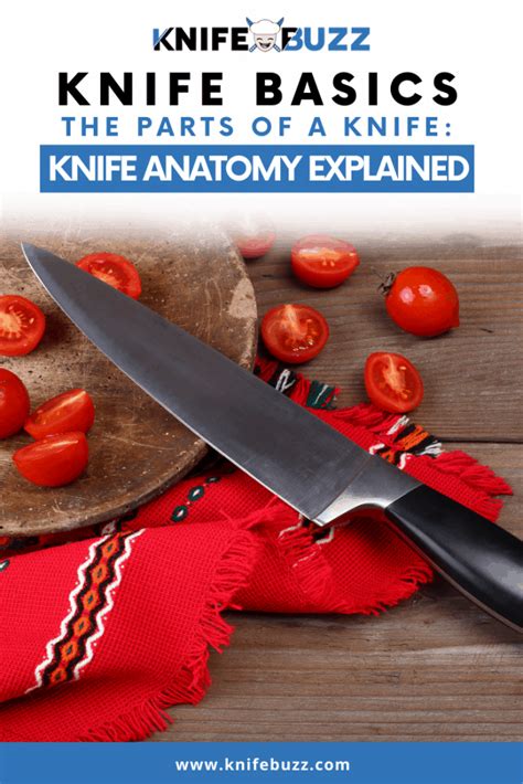 parts   knife knife anatomy explained knife buzz expert advice  kitchen outdoor