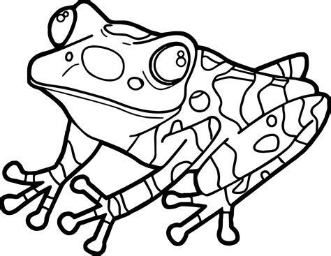 frog coloring pages cute thiva hellas