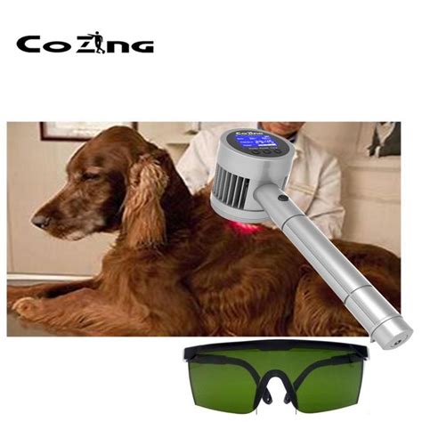 deals for cheap companion laser therapy veterinary laser