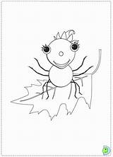 Coloring Spider sketch template