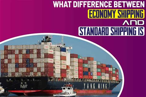difference  economy shipping  standard shipping