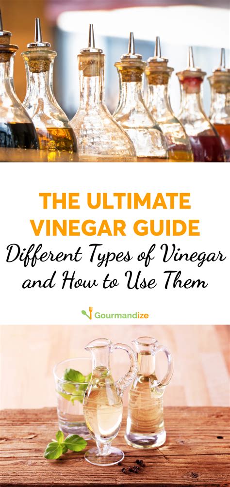 quick guide  vinegars