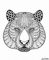 Coloring Tiger Pages Head Tigers Patterns Adult Adults Printable Tigre Tête Mandala Animals Motifs Avec sketch template