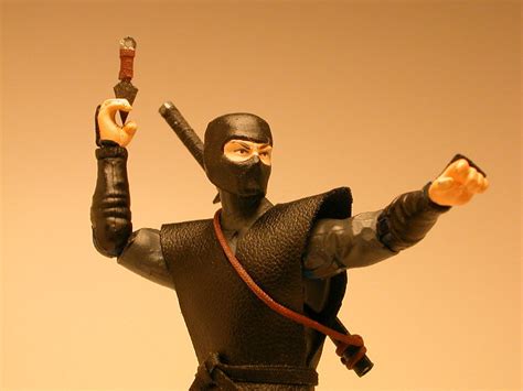 ninja hisstankcom