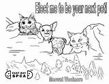 Coloring Shelter Spca Pet President Bay East Sheet sketch template