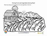 Coloring Farm Crops Seeds Kids Sheet Printable Vegetables Growing Pages Fruits Farming Fruit Colouring Taking Care Planted Newly Sheets Worksheets sketch template